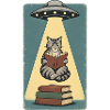 Lesende Katze im UFO Strahl