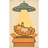 Schlafende Katze im UFO Strahl
