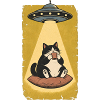 Katzenpause im UFO Strahl