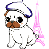 Paris Mops
