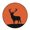 Hirsch Geweih Sonnenuntergang