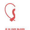 Aplastische Anämie - Hoffnung im Blut