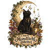 Vom Mondlicht geleitet