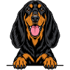 Black and Tan Coonhound