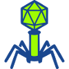 Bakteriophage Virus Icon
