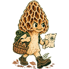 Pilzpfad Entdecker Illustration