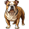 Bulldog-Hund-Stand
