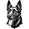 Belgischer Malinois-Hundekopf