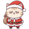 Katze als Weihnachtsmann