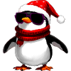 Coole Pinguine Weihnachten