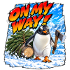 Bin unterwegs! Gentoo-Pinguin