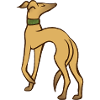 Anmutige Windhund-Silhouette