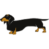 Schwarzbrauner Dackel Silhouette