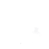 Vermögensschutzmanager, kein Magier