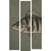 Barsch – Moderne Fischillustration für Angler