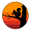 Eichhörnchen Herbst Sonnenuntergang