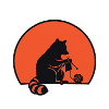 Waschbär Strickt