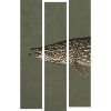 Hecht – Moderne Fischillustration für Angler