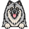 Wolfsspitz