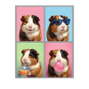Meerschweinchen Meerschwein
