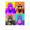 Gorillas Gorilla