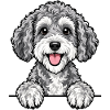 Schnoodle