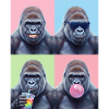 Gorillas Gorilla