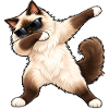 Dabbing Birma-Katze – Lustiger Katzentanz