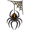 Spinne im Netz – Tattoo