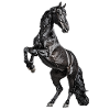 Pferd Hengst
