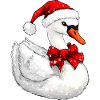 Schwäne Christmas