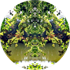 Natur Mandala 