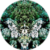 Natur Mandala unterwasser Engel