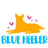 Australian Cattle Dog