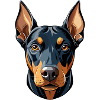 Doberman Pinscher Hundekopf