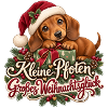 Dackel Kleine Pfoten Weihnachtsglück