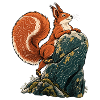 Kletterndes Eichhörnchen