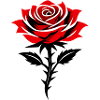Rote Rose in Schwarzweiß-Kontrast