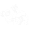 Kraftvolle Muskel-Silhouette beim Hanteltraining