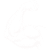 Bizeps Silhouette 