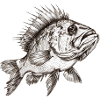 Fisch