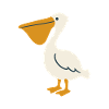 Pelikan Vogel Illustration Geschenkidee