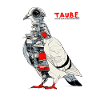 T.A.U.B.E.