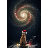 Weihnachtskatze vor der Galaxie