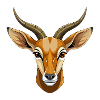 Springbock-Antilopenkopf