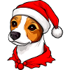 Jack Russel Terrier Weihnachten