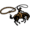 Rodeo Cowboy Lasso Grafik