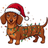 Dackel im Lichterglanz Weihnachtsmütze