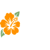 Hawaii-Herzhibiskus