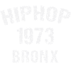 HipHop Bronx 1973